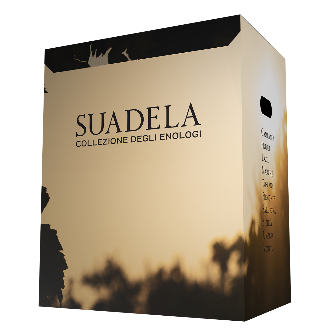 SUADELA-US-Box-2023
