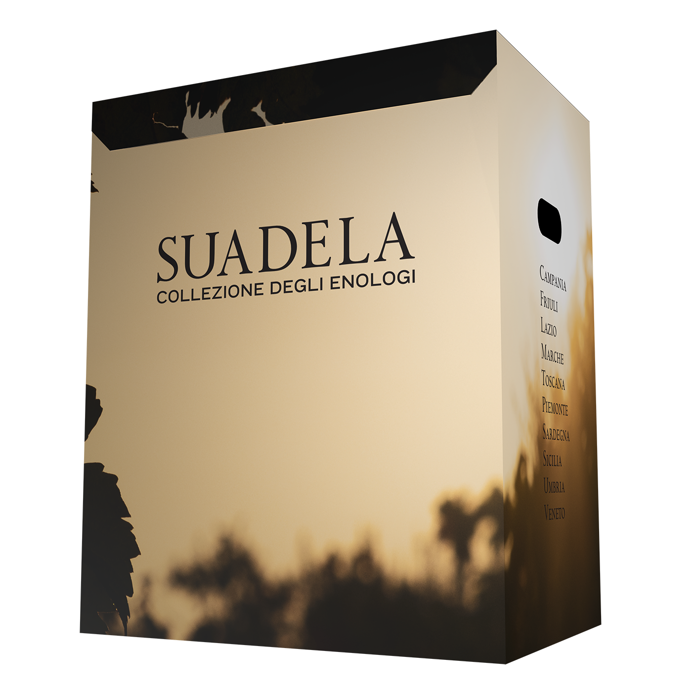 SUADELA-US-Box-2023